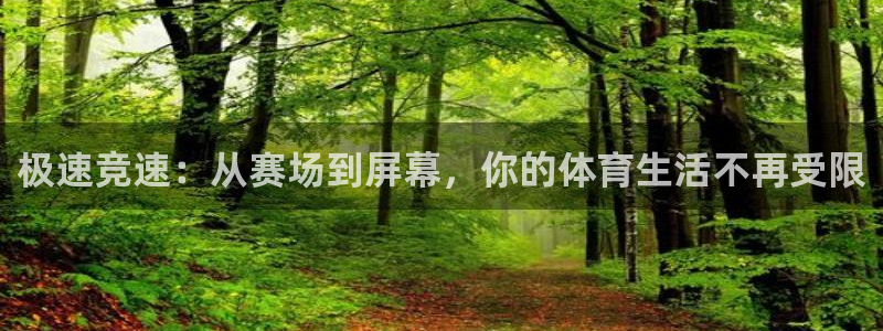 极速竞速：从赛场到屏幕，你的体育生活不再受限