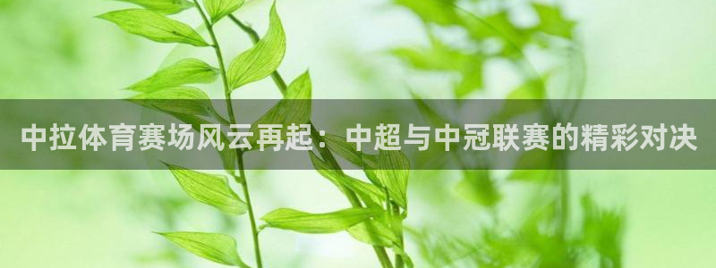 中拉体育赛场风云再起：中超与中冠联赛的精彩对决