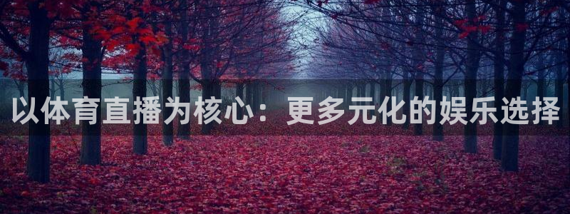 以体育直播为核心：更多元化的娱乐选择