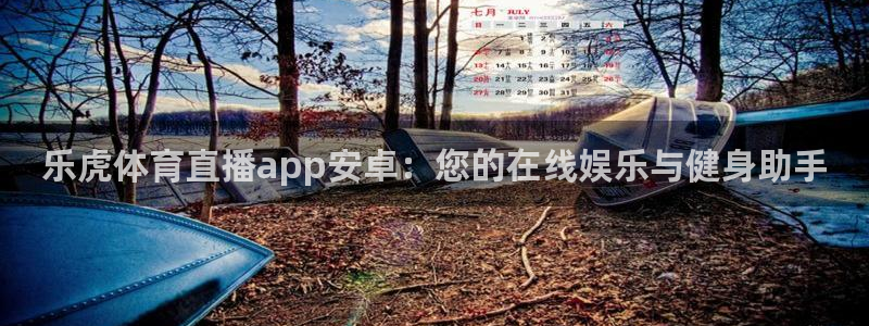 乐虎体育直播app安卓：您的在线娱乐与健身助手