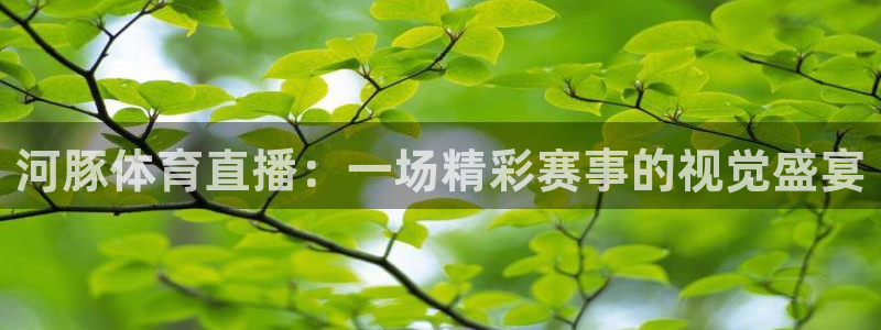 河豚体育直播：一场精彩赛事的视觉盛宴