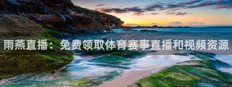 雨燕直播：免费领取体育赛事直播和视频资源
