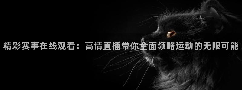 精彩赛事在线观看：高清直播带你全面领略运动的无限可能