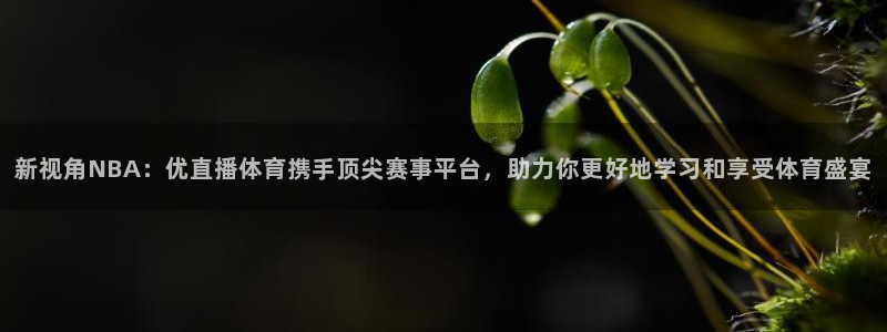 新视角NBA：优直播体育携手顶尖赛事平台，助力你更好地学习和享受体育盛宴