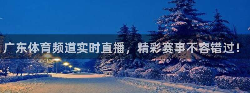 广东体育频道实时直播，精彩赛事不容错过！