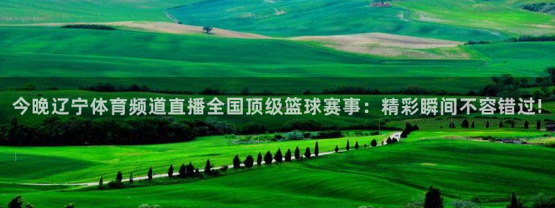 今晚辽宁体育频道直播全国顶级篮球赛事：精彩瞬间不容错过!