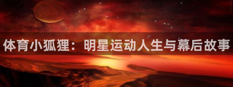 体育小狐狸：明星运动人生与幕后故事