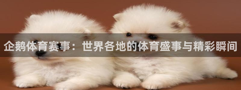企鹅体育赛事：世界各地的体育盛事与精彩瞬间