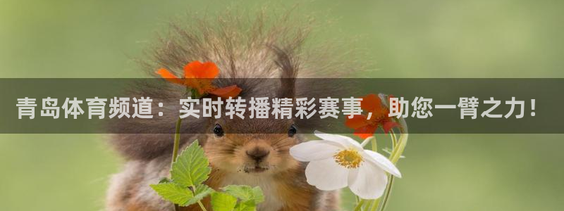 青岛体育频道：实时转播精彩赛事，助您一臂之力！