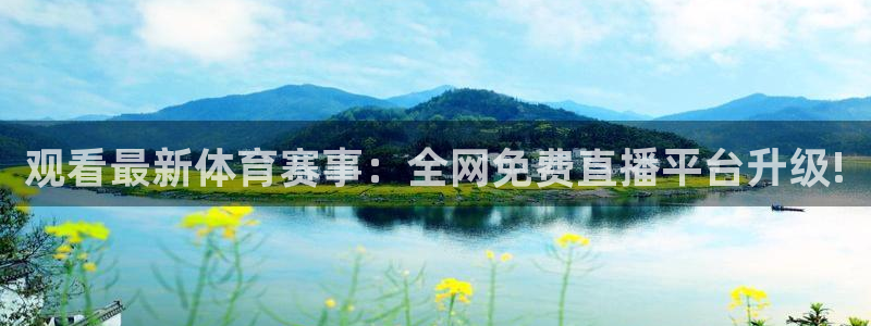 观看最新体育赛事：全网免费直播平台升级!